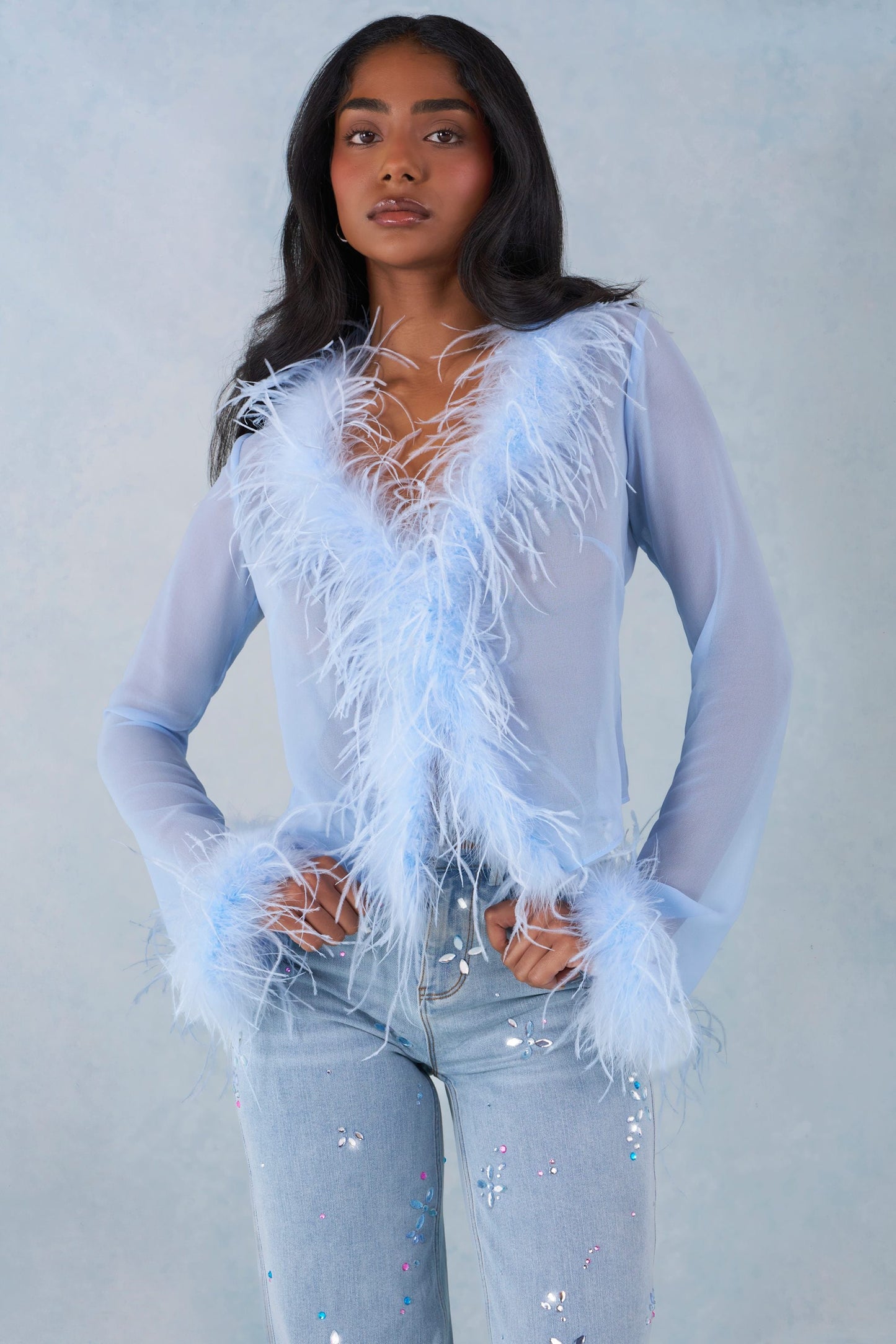 Feather Trim Sheer Top in Soft Blue