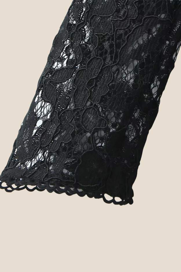 Long Sleeves Black Lace Mini Party Dress